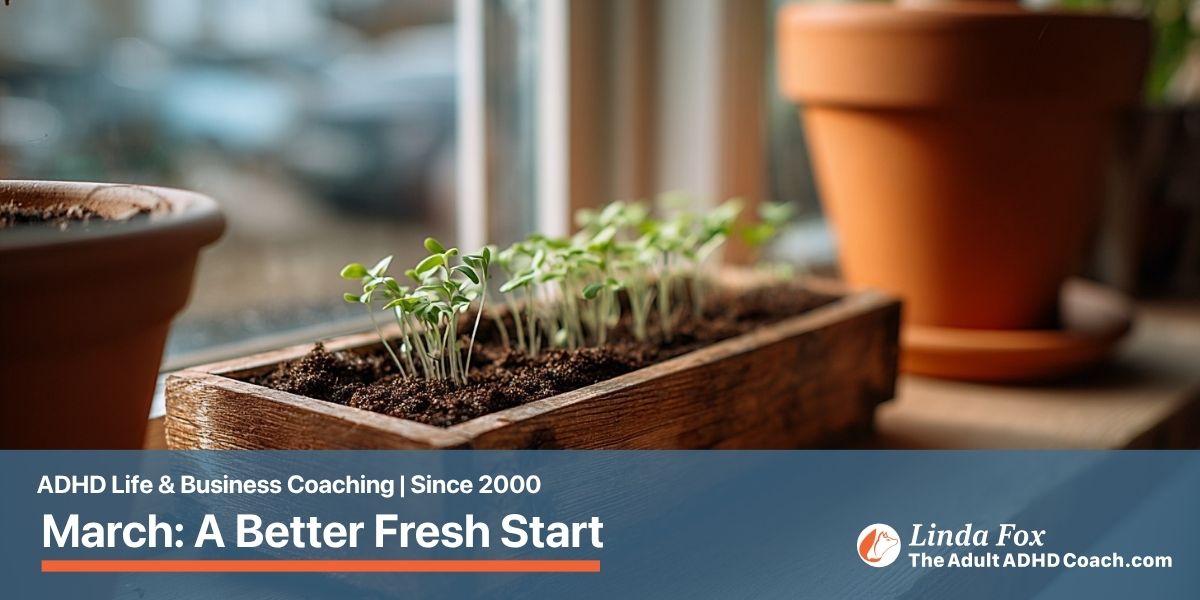 Blog post: Why March Is a Better Fresh Start Than January — tiny green seedlings emerging from a seed tray on a sunlit windowsill, representing gentle new beginnings in early spring