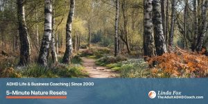 Blog post: 5-Minute Nature Resets for an Overwhelmed ADHD/AuDHD Brain — a sunlit earthen path winding through a quiet British woodland, representing the invitation to step outside for a short reset