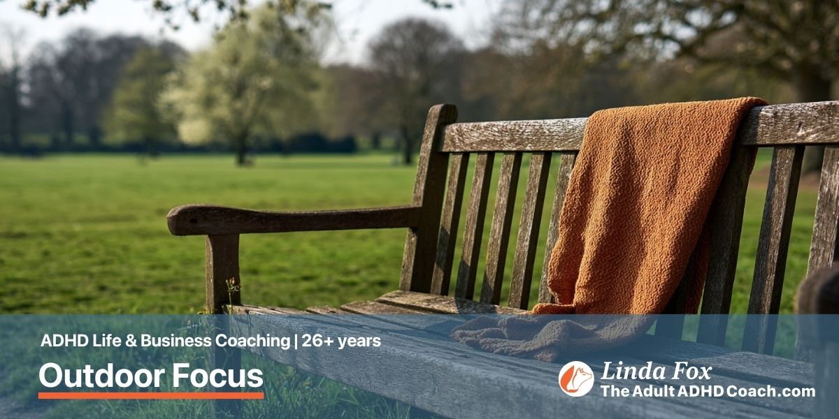 Blog post: Outdoor Focus — a wooden park bench looking out across an open park towards distant budding trees in spring morning light, representing panoramic vision and attention reset